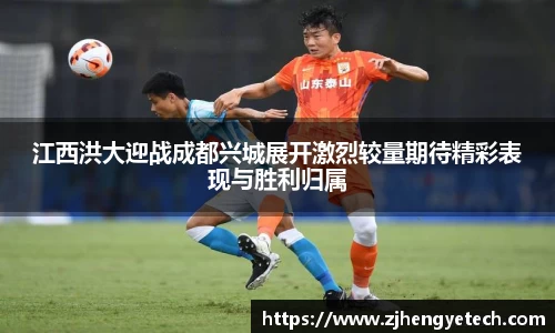 中欧体育官方网站